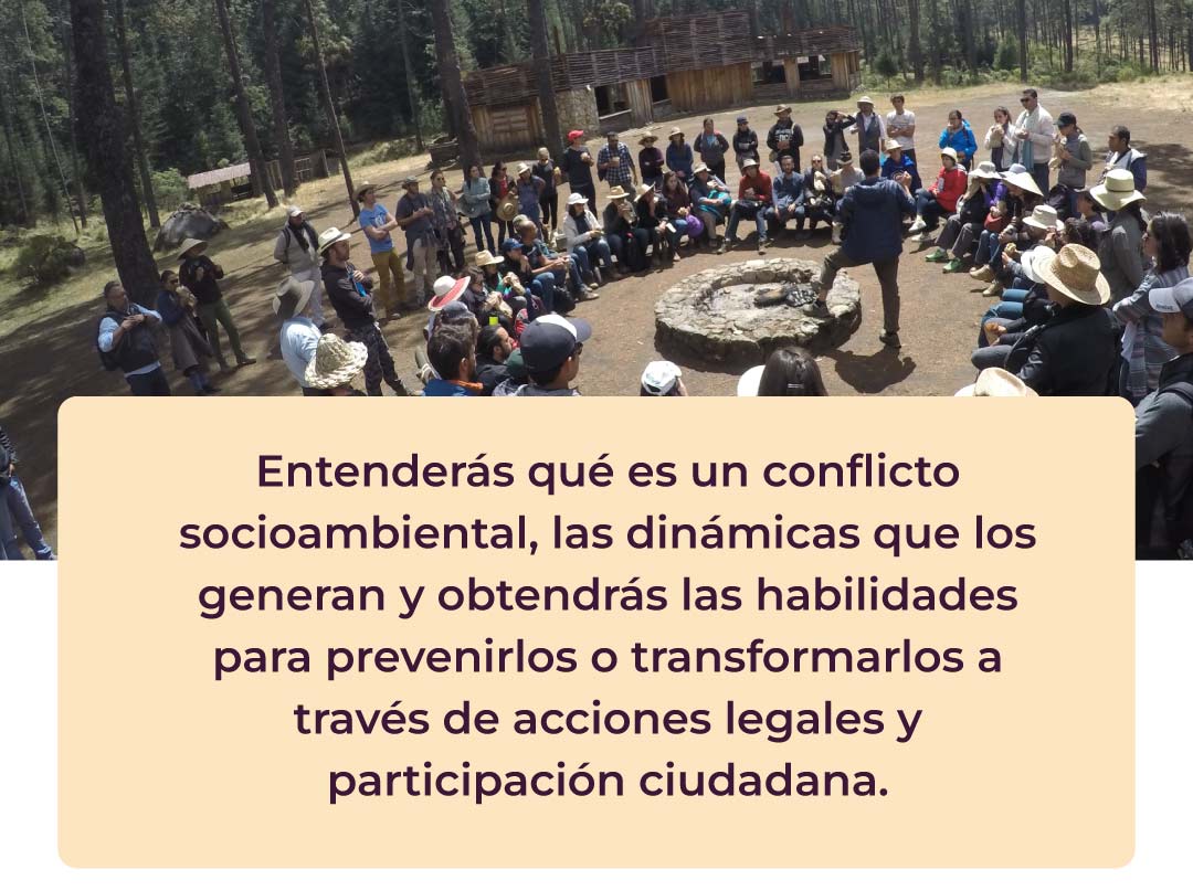Conociendo a los Umanos: Andreea Dani